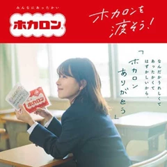 LOTTE 暖貼  (標準10片裝)